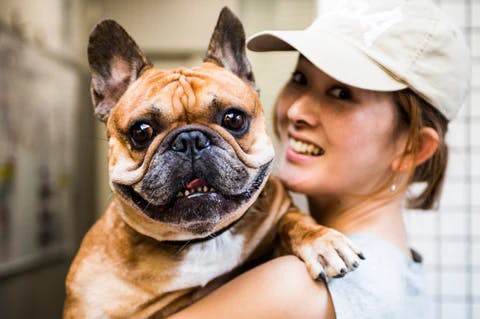 My Lifestyle with Dogs ~wanstagramer @trs0609~ 「フォロワー